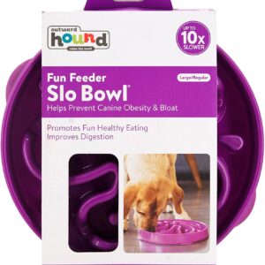 Fun Feeder  – Slow Feeder Dog Bowl – Large/Regular