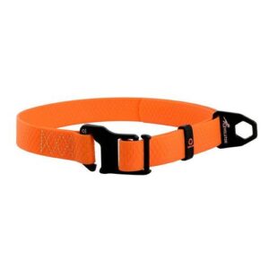 Dog collar EVOLUTOR, Adjustable, One size fits. ORANGE